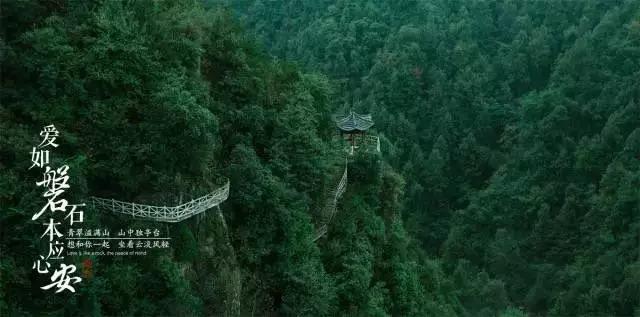 奇妙香蕉之旅