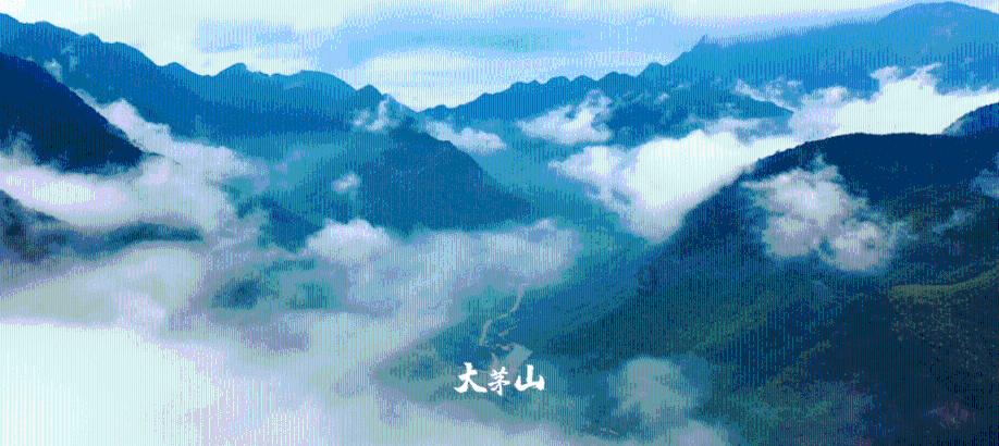 爱的魔力