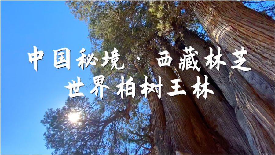 线上摩托挑战赛无敌版