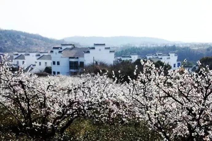 一击致命