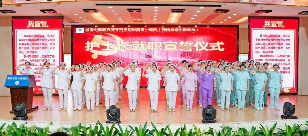 小猫钓鱼正版下载中文版