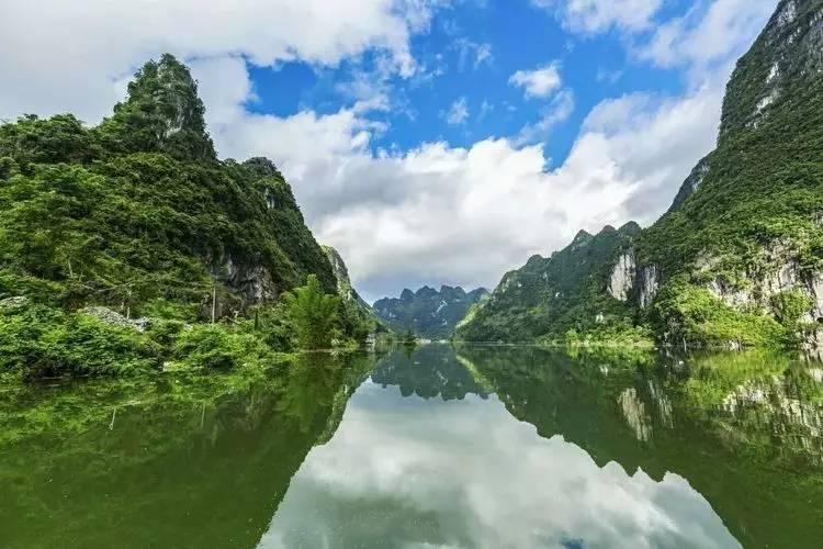雨后盛放