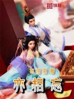 栅栏迷宫