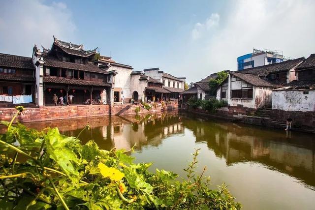 敏捷小球